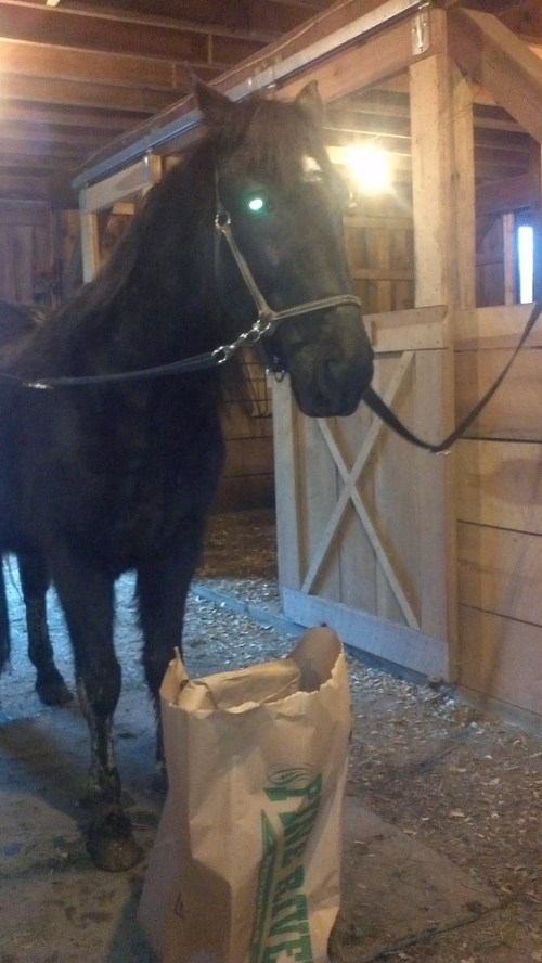 2013-02-27_17-23-28_373