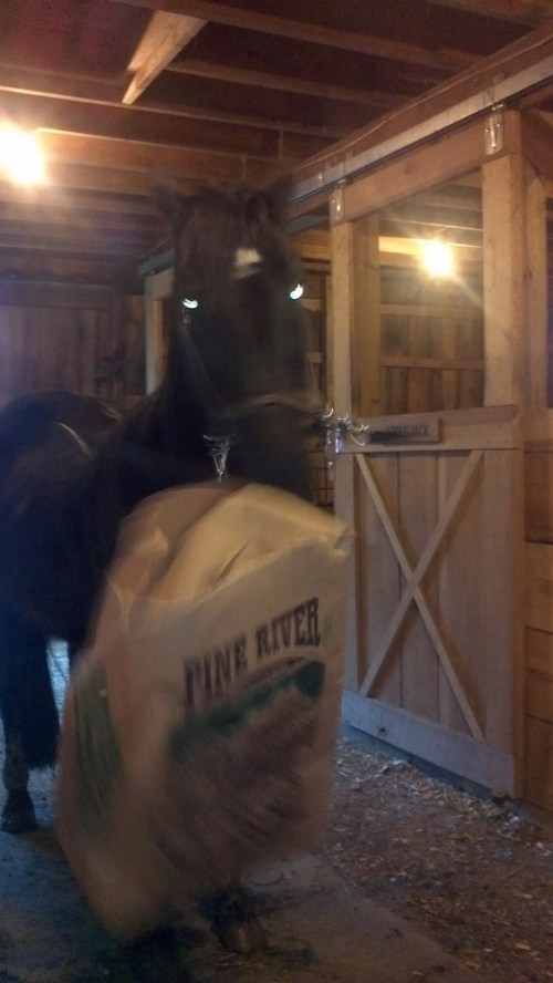 2013-02-27_17-23-40_658