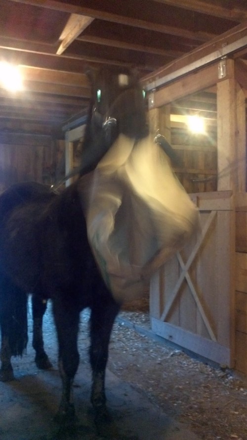 2013-02-27_17-23-45_464