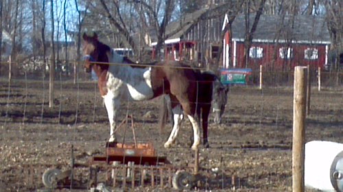 2013-03-05_16-13-40_127