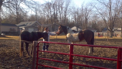 2013-03-05_16-43-38_632