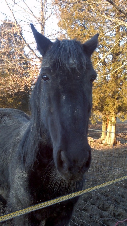 2013-03-05_17-28-34_398