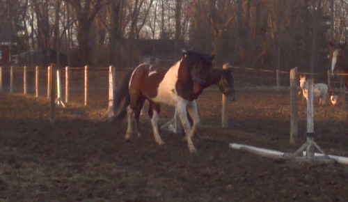 2013-03-05_17-32-27_282