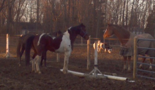 2013-03-05_17-32-35_191