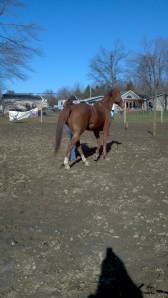 2013-03-30_09-08-46_641