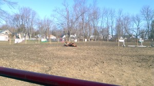 2013-03-30_09-10-48_19