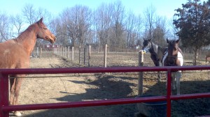 2013-03-30_09-18-53_637