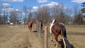 2013-03-30_15-03-33_835