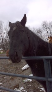 2012-12-25_11-55-54_159