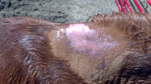 2013-04-21_12-48-13_416