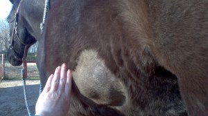 2013-04-25_18-23-29_871