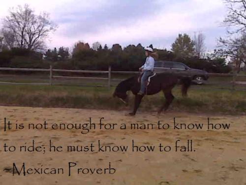 Photo of the day (2009)