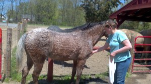 2013-05-04_13-12-43_702