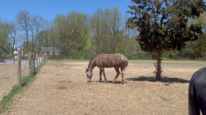 2013-05-04_13-15-51_884