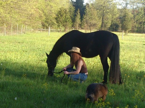 Photo Shoot at the farm