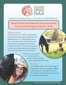 Save Nash Flyer_v3 p1