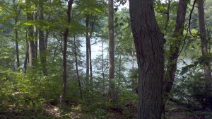 2013-06-16_14-19-26_107