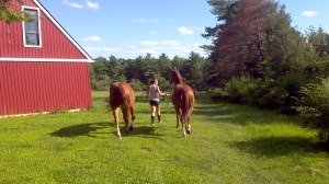 2013-07-29_17-07-29_82