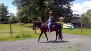 2013-08-04_11-38-34_287