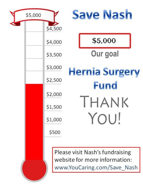 Save Nash Thermometer