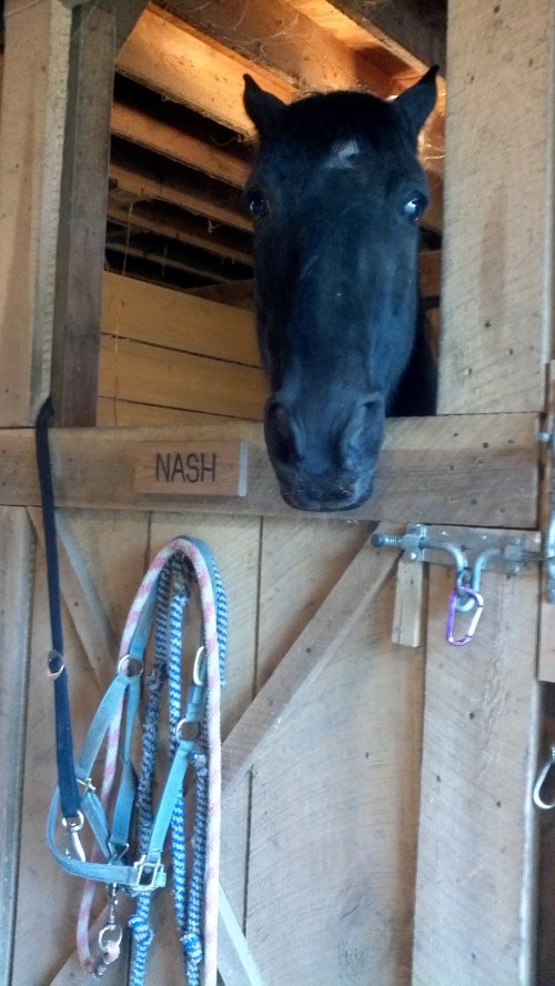 2013-11-17_08-52-32_392