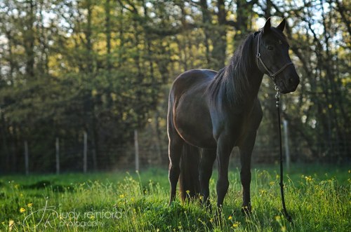 Today's Facebook Thankful post