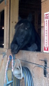 2013-12-04_13-52-34_228