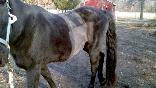 2013-12-04_13-57-23_172