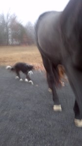 2013-12-05_16-13-36_826