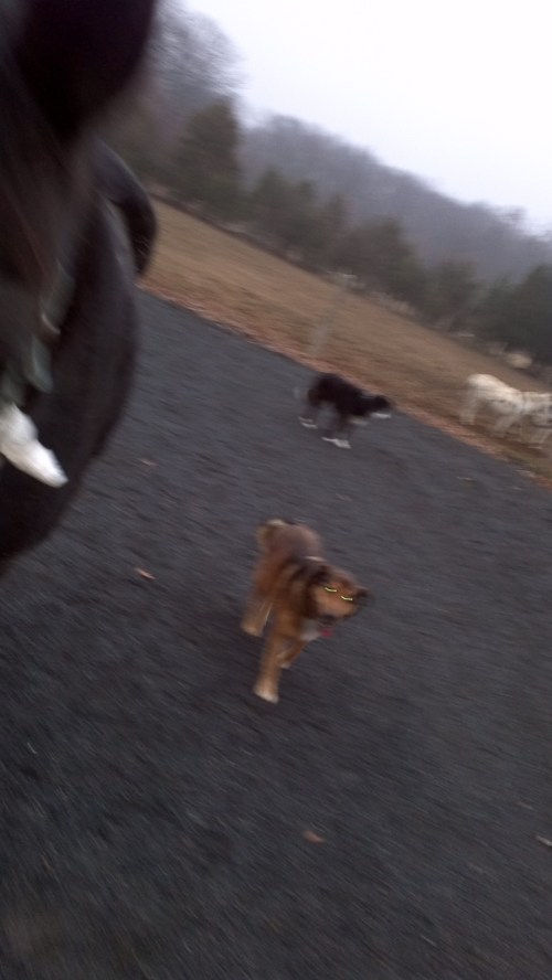 2013-12-05_16-13-45_731