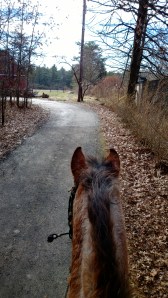 WP_20131228_10_34_38_Pro