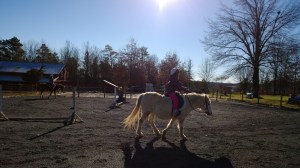 WP_20131228_12_08_21_Pro