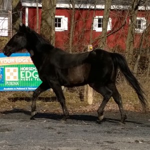 WP_20140118_12_34_45_Pro