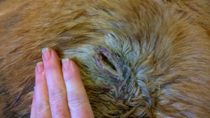 WP_20140119_14_51_05_Pro