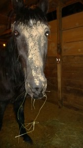 WP_20140308_18_08_44_Pro