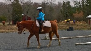 WP_20140418_12_57_38_Pro