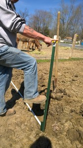 WP_20140420_11_05_46_Pro