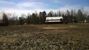 WP_20140420_11_09_19_Pro