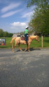 WP_20140510_10_27_55_Pro