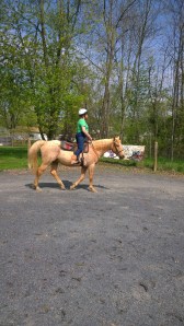 WP_20140510_10_28_12_Pro