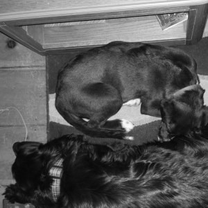 InstagramCapture_045a1822-19a3-4bcf-82ea-bca315c199d3