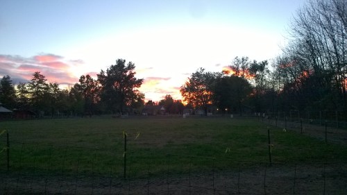 Created with Nokia Smart Cam