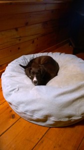 WP_20150104_18_14_00_Pro