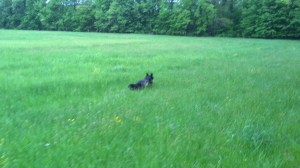 WP_20150515_18_49_04_Pro