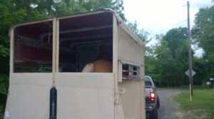 WP_20150613_19_50_20_Pro