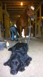 WP_20150703_16_01_16_Pro