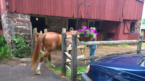 WP_20150704_10_01_34_Pro