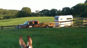 WP_20150805_18_57_53_Pro