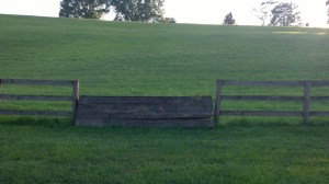 WP_20150805_19_03_40_Pro