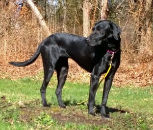 WP_20150411_09_40_07_Pro